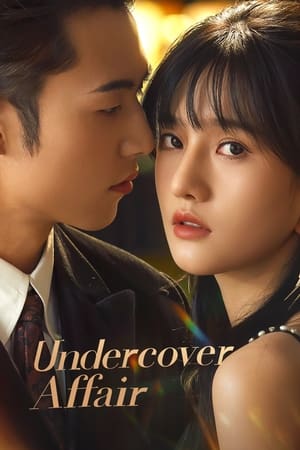 Undercover Affair izle