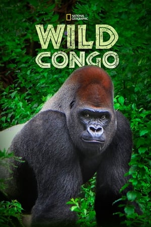 Wild Congo izle