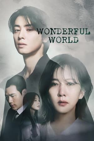 Wonderful World izle